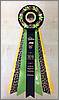 Best of the Best Kitten Rosette Best of the Best Kitten Rosette
